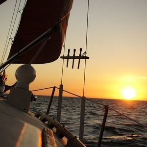 Meet your Posher, Aaron